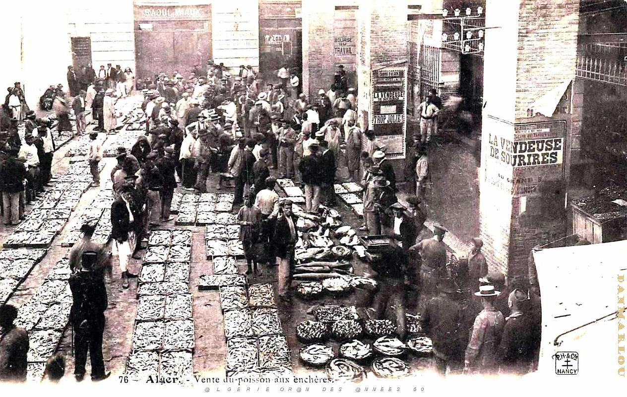 3034- Alger - Vente de Poisson aux encheres - 1908.jpg